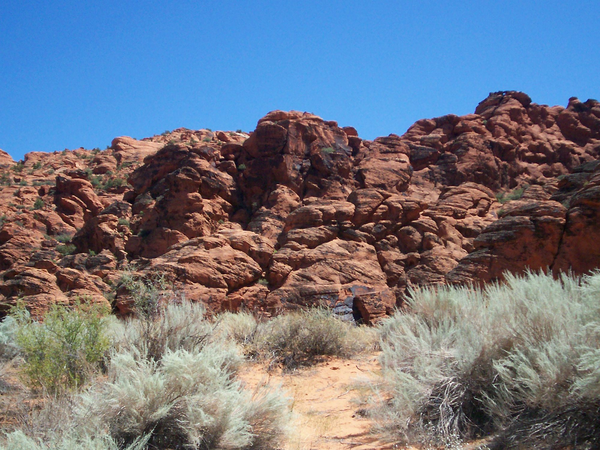 Backyard artificial turf in St. George, Utah