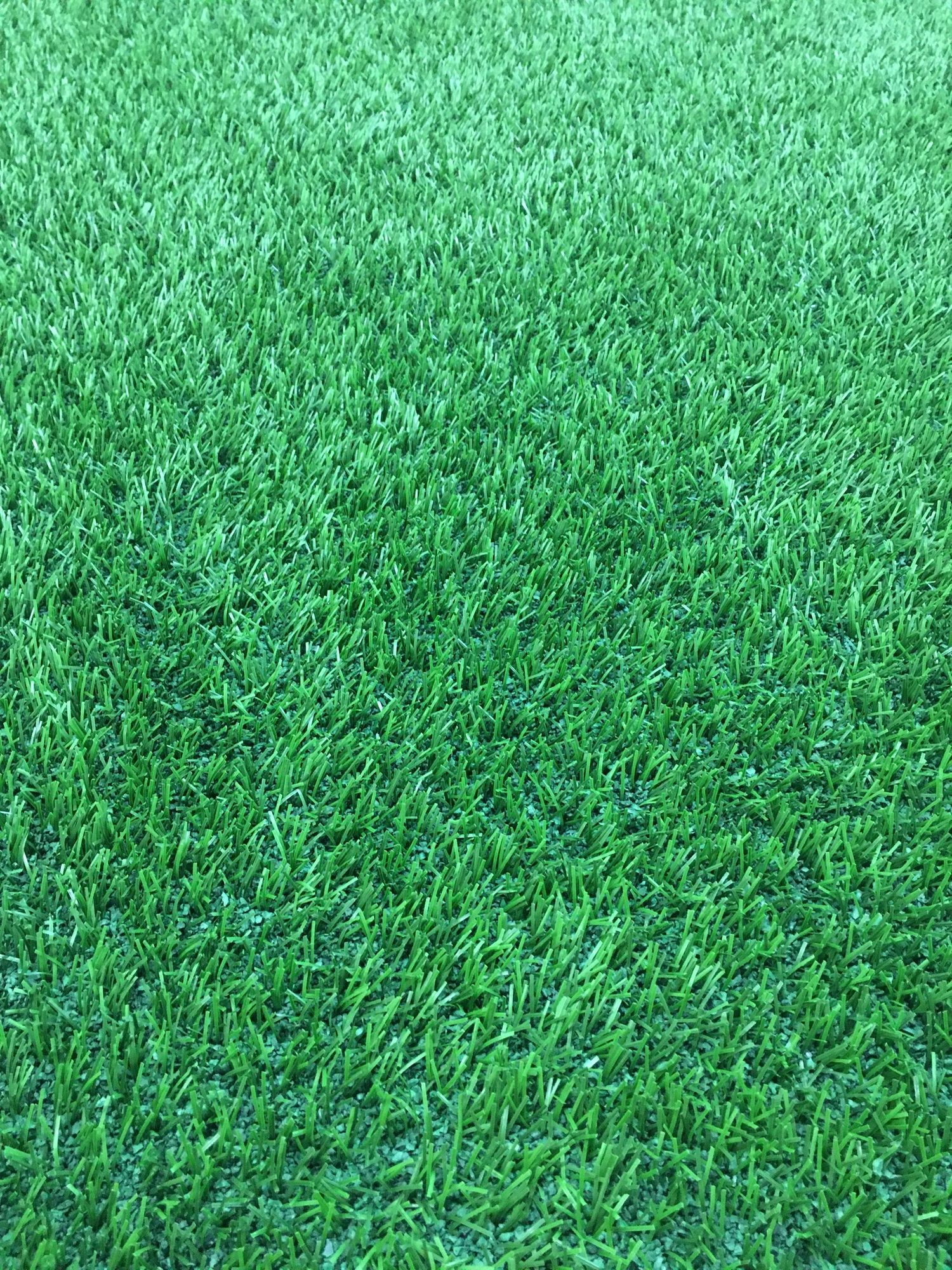 Commercial enzyme sanitize application on artificial turf