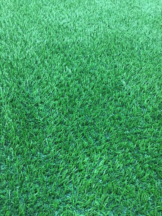 Close-up of artificial turf fibers where pet odor accumulates in the infill