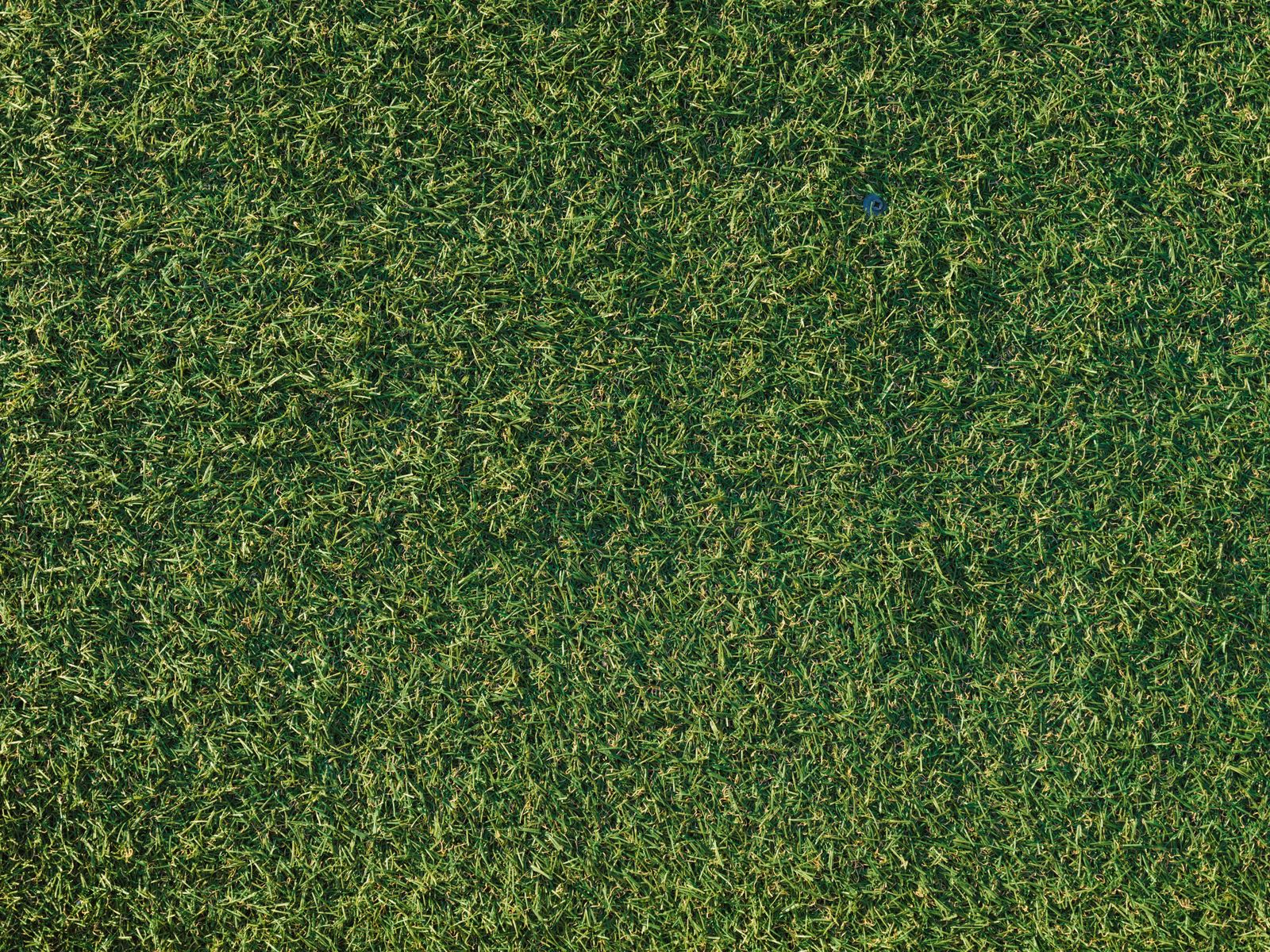 Close-up of artificial turf blades and the infill layer below where pet odor settles