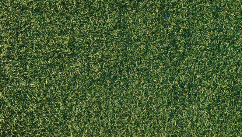Top-down view of artificial turf fibers and infill in a St. George backyard